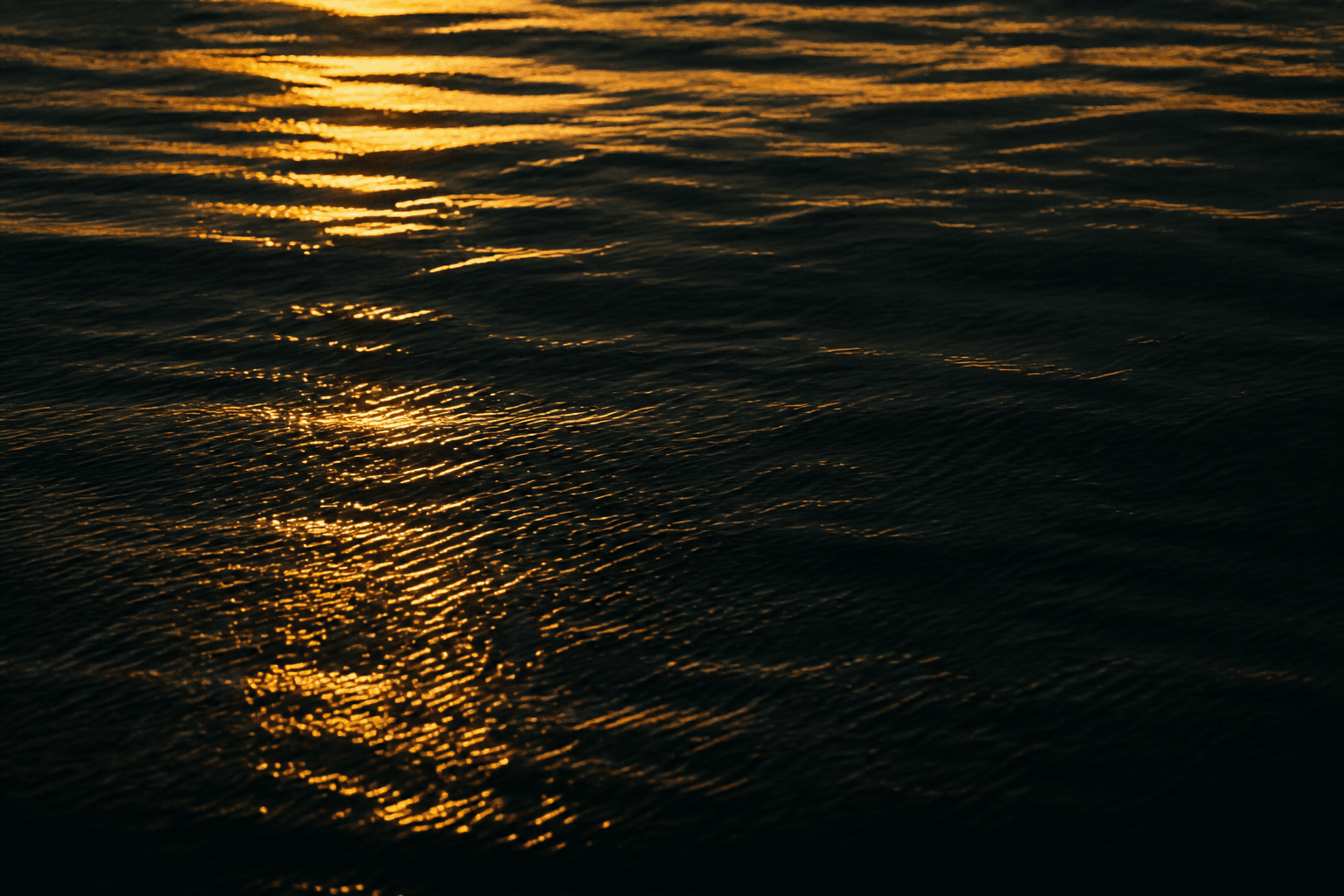 Warm coastal water at dusk. Placeholder still.